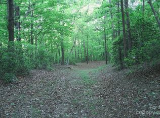 0 Lake Adger Pkwy, Mill Spring, NC 28756