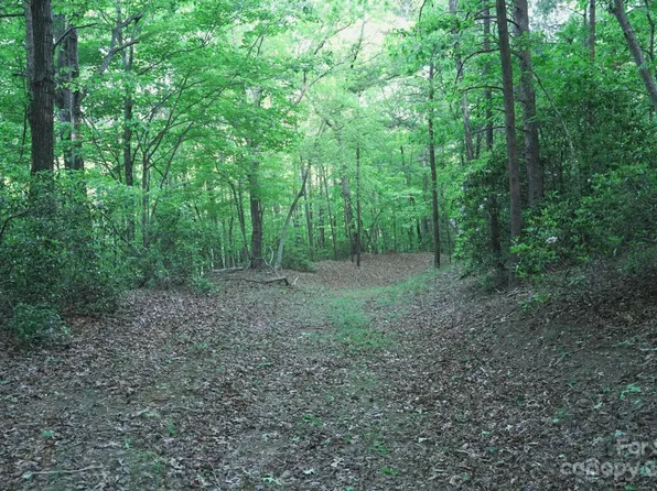 0 Lake Adger Pkwy, Mill Spring, NC 28756