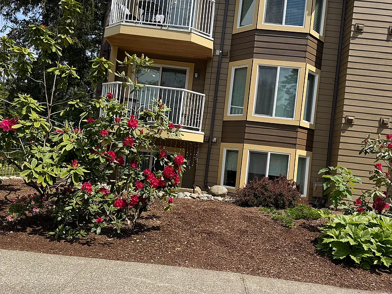 complement of natural light and treed privacy