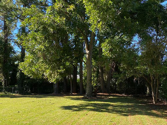 Back yard with a large pecan tree with lots of pecans