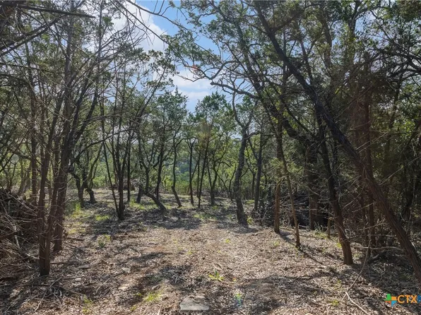 601 Mount Olive School Rd, Wimberley, TX 78676