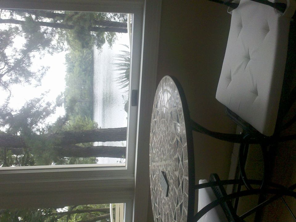 veiw from family room