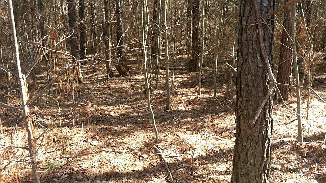 1st image of Ridge Wood Lot 419