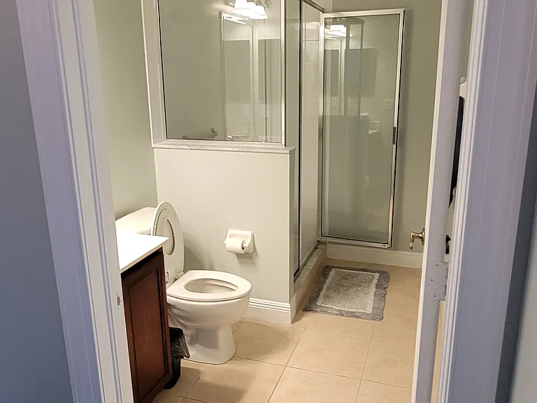Guest Bath (Downstairs)