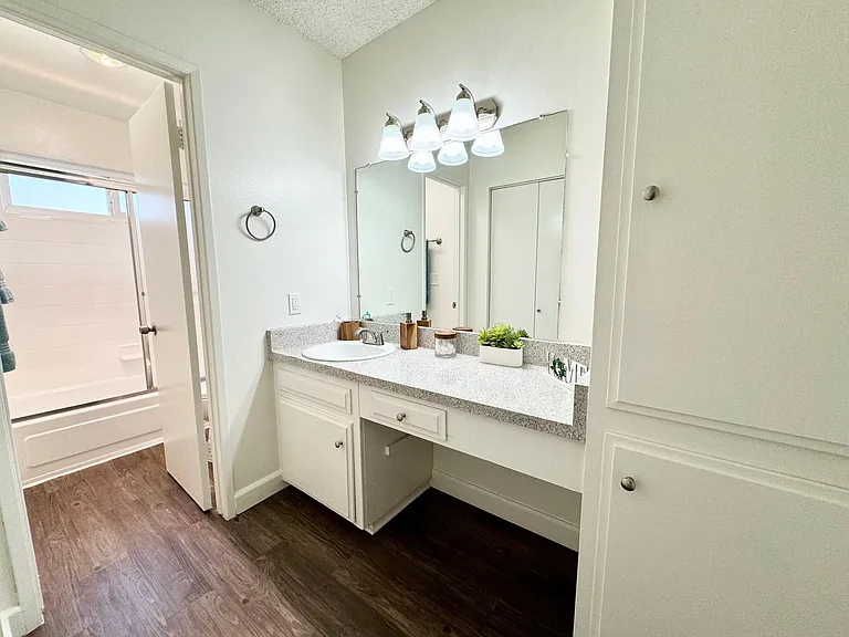 Vanity sink and linens closet