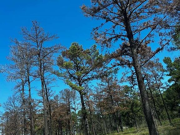 4th image of 0 Hardy Rd