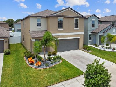 7204 Pearly Everlasting Ave, Tampa, FL, 33619