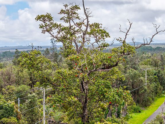3rd image of Lehua St Lot 7139