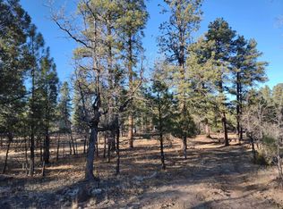 1880 Blue Sky Cir, Happy Jack, AZ 86024