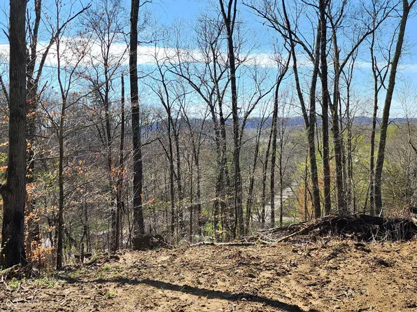 LOT 5 Goat Hollow Rd, Martinsville, IN 46151