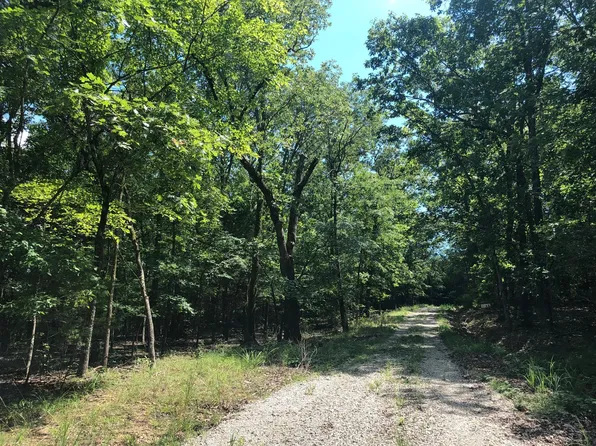 0 Meadow Lark Ln, Golden, MO 65658
