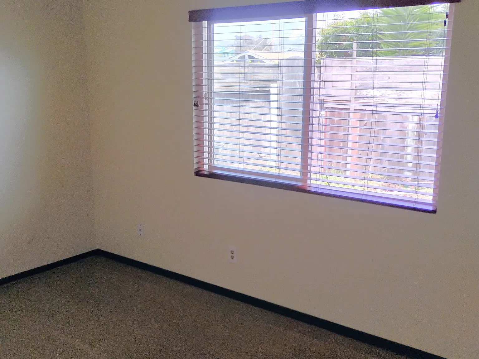 1 bed, 1120 sqft, $1,100 — Photo 2