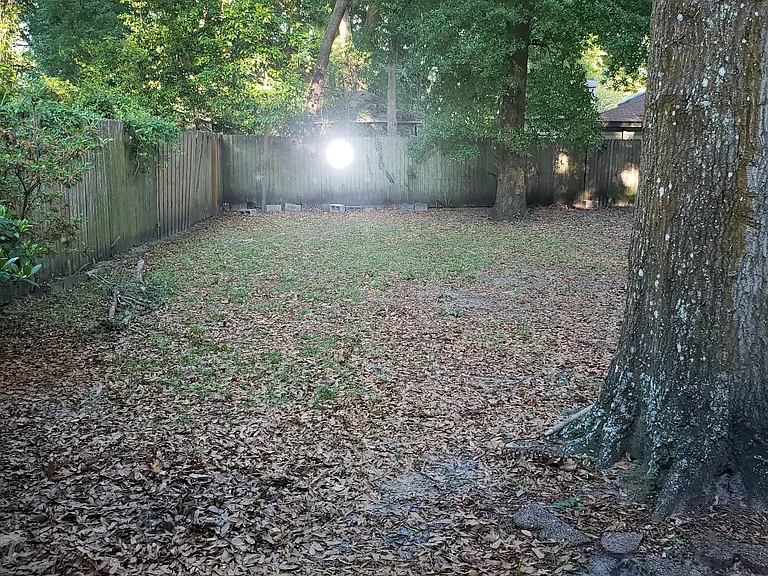 3523 W Colony Cove Trl — Photo 15
