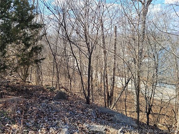 5th image of Outer Dr