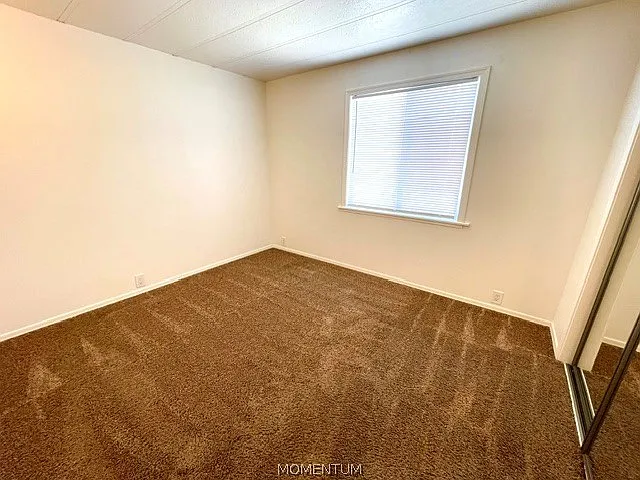 803 Roadrunner Dr — Photo 9