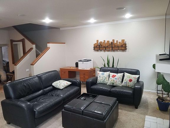 Downstairs living room