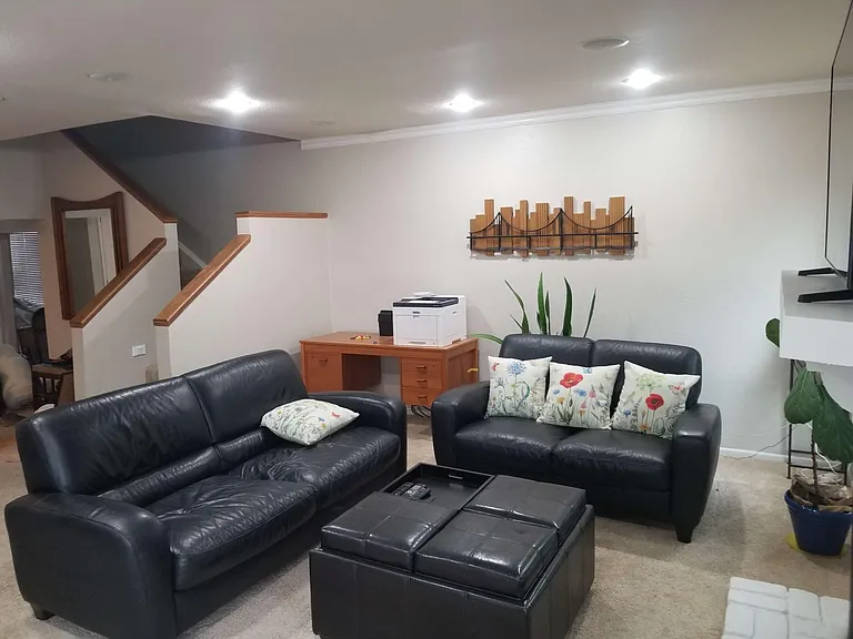 Downstairs living room