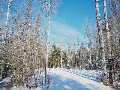 TBD County 444 Road, Rock, MI, 49880