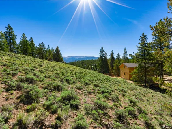 180 Aspen Drive, Twin Lakes, CO 81251