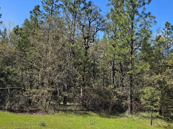 109 Garner Rd, Cave Junction, OR 97523