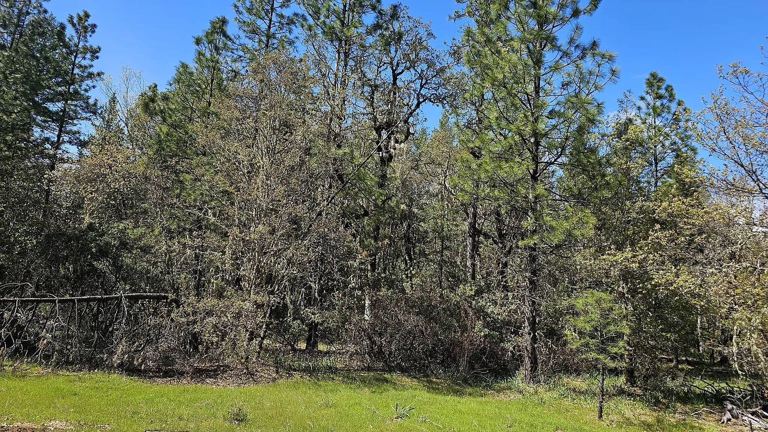 109 Garner Rd photo 1