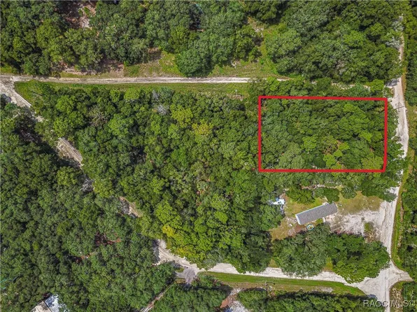 NE 234th Place Rd, Fort Mc Coy, FL 32134