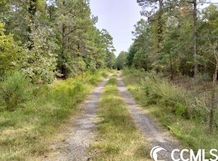 Thomas Road Across From #6275, Conway, SC 29526