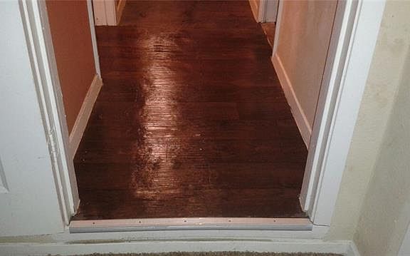 5th image of 420 E Pafford St