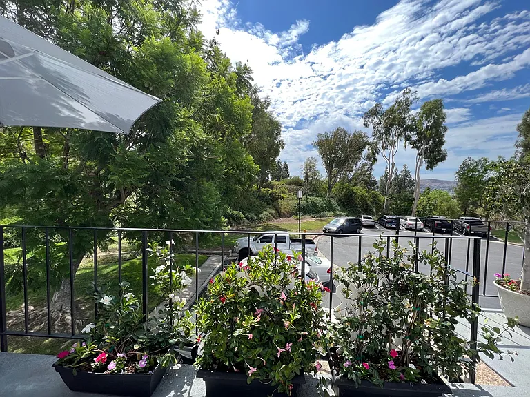 Patio view