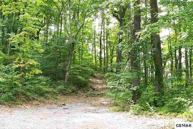 1st image of 45 Priscilla Heights Ln Lot 45