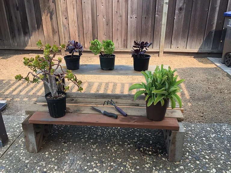 Garden area