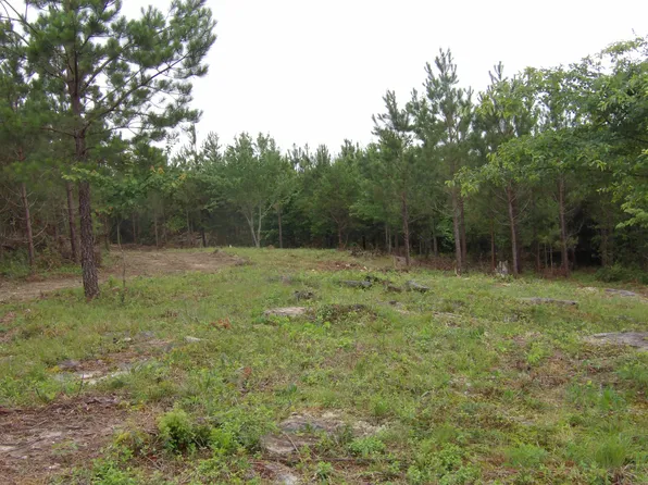 3 Summer City Rd, Evensville, TN 37332