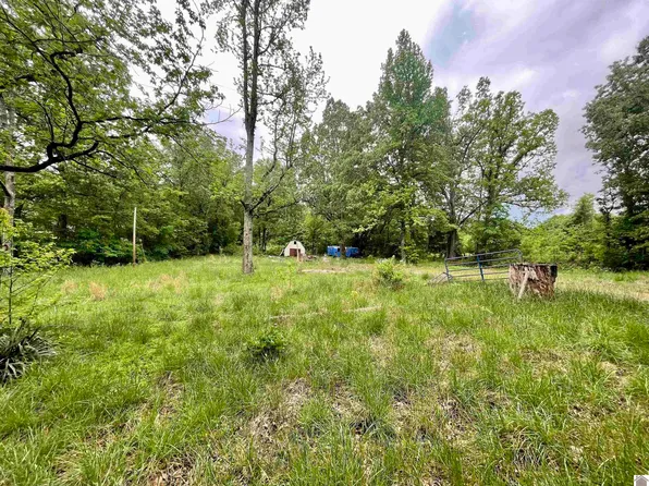 743 Belcher Rd, Tiline, KY 42083