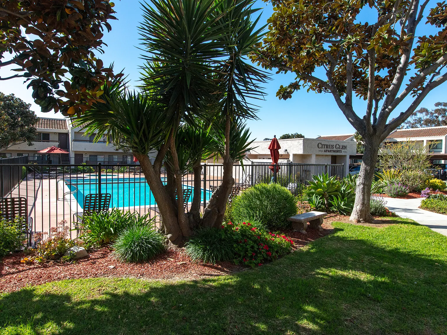 Citrus Glen Apartments — Photo 4