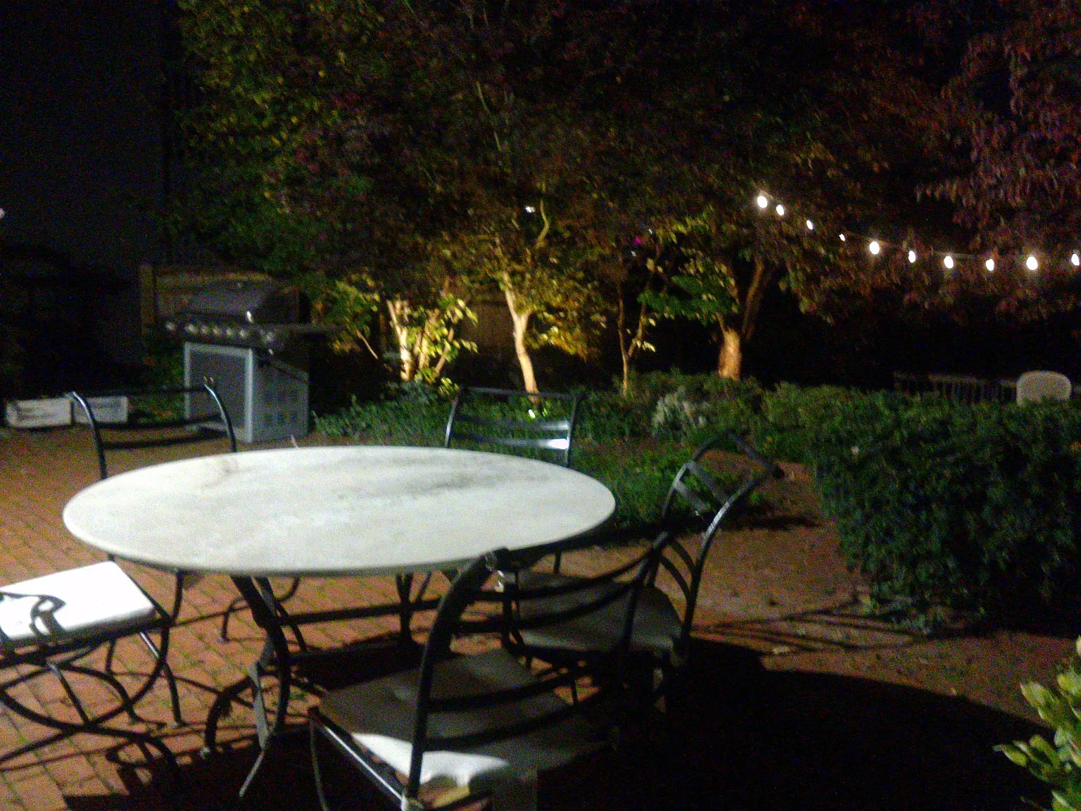 1 bed, 1.5 bath, 600 sqft, $1,900 — Photo 3