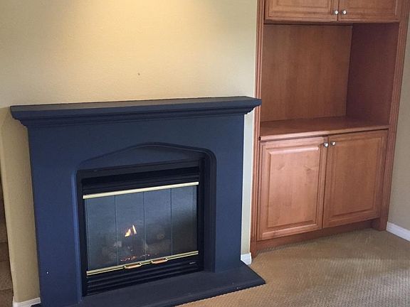 Fire Place in Living Room