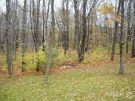 1.75 ACRE WOODED LOT