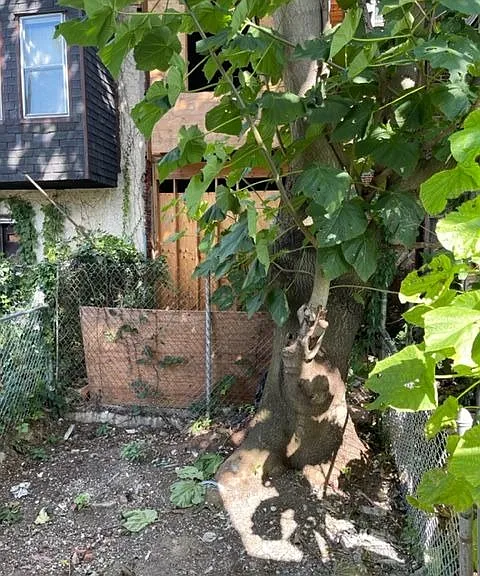 2115 N Percy St — Photo 9
