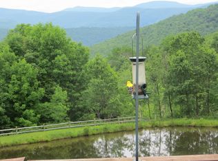 3011 Canada Hollow Rd, Andes, NY 13731