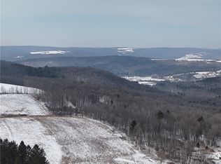 55 Kimble Rd, Beaver Dams, NY 14812