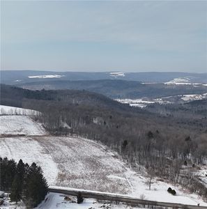 55 Kimble Rd, Beaver Dams, NY, 14812