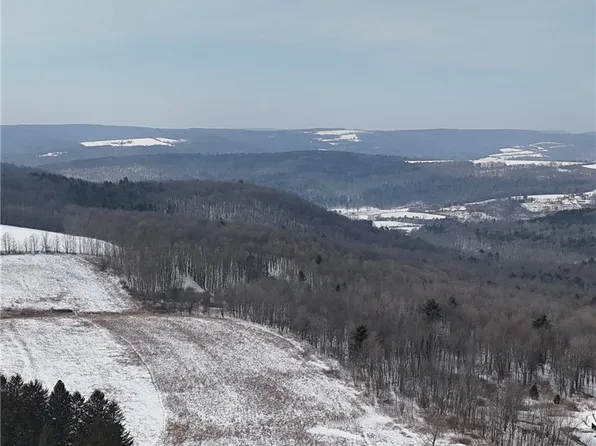 55 Kimble Rd, Beaver Dams, NY 14812