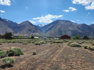 627 Day Ln, Wellington, NV 89444