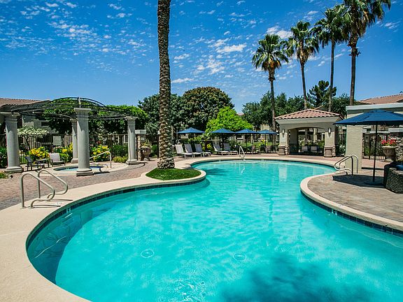 Lagoon Style Pool