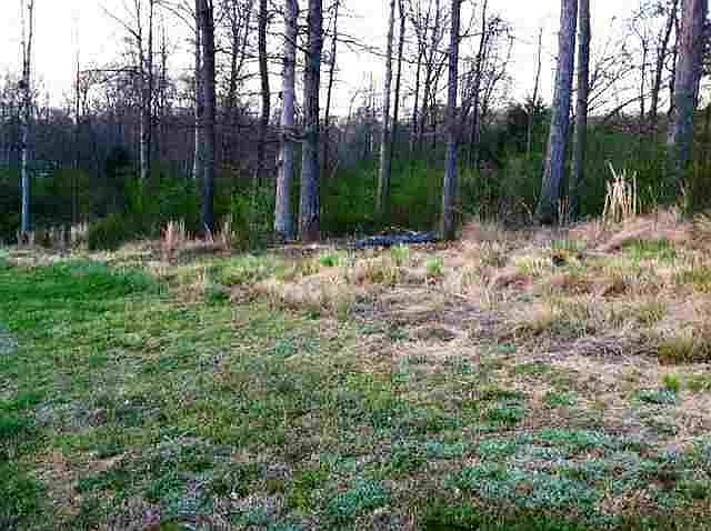 1st image of LOT 23 County Road 23 Lot 7030