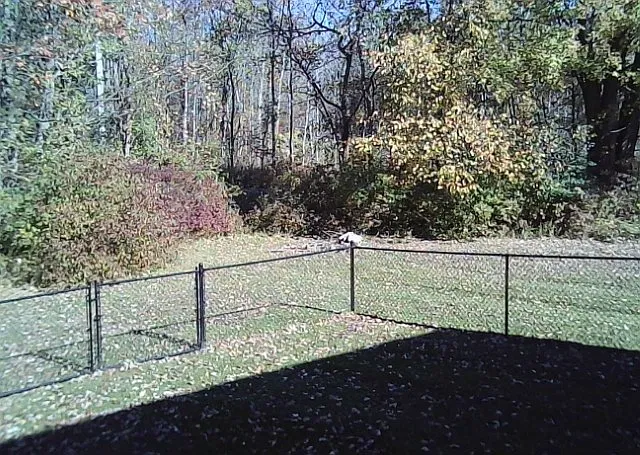 2 bed, 1.5 bath, 2304 sqft, $2,700 — Photo 3