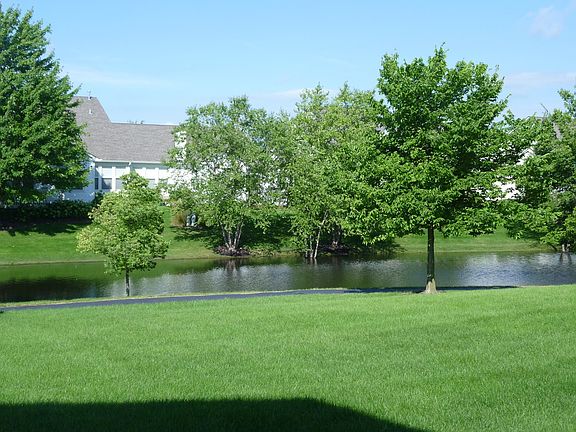 Gorgeous water view and view of open area