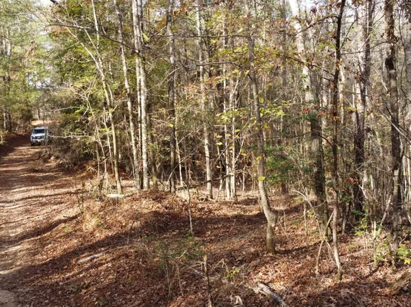 Antioch Cemetery Rd, Provencal, LA 71468