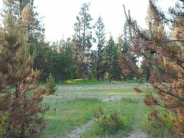 1st image of Tbd Smylie Ln