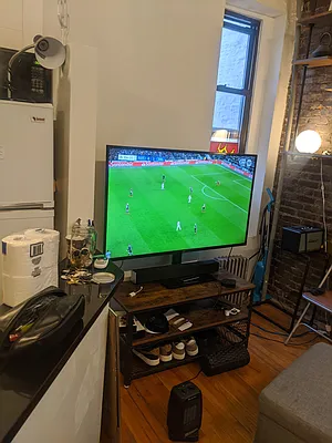 Rented by Loisaida Realty | media 23